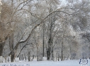 Зима_1