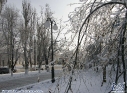 Зима_4